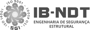 IB-NDT