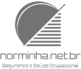 Revista Norminha